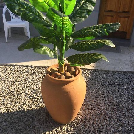 קמפטון פארק Ruros Guest House מראה חיצוני תמונה